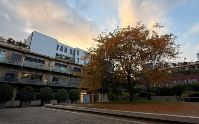 BILOCALE CORSO REGIO PARCO 15 BIS